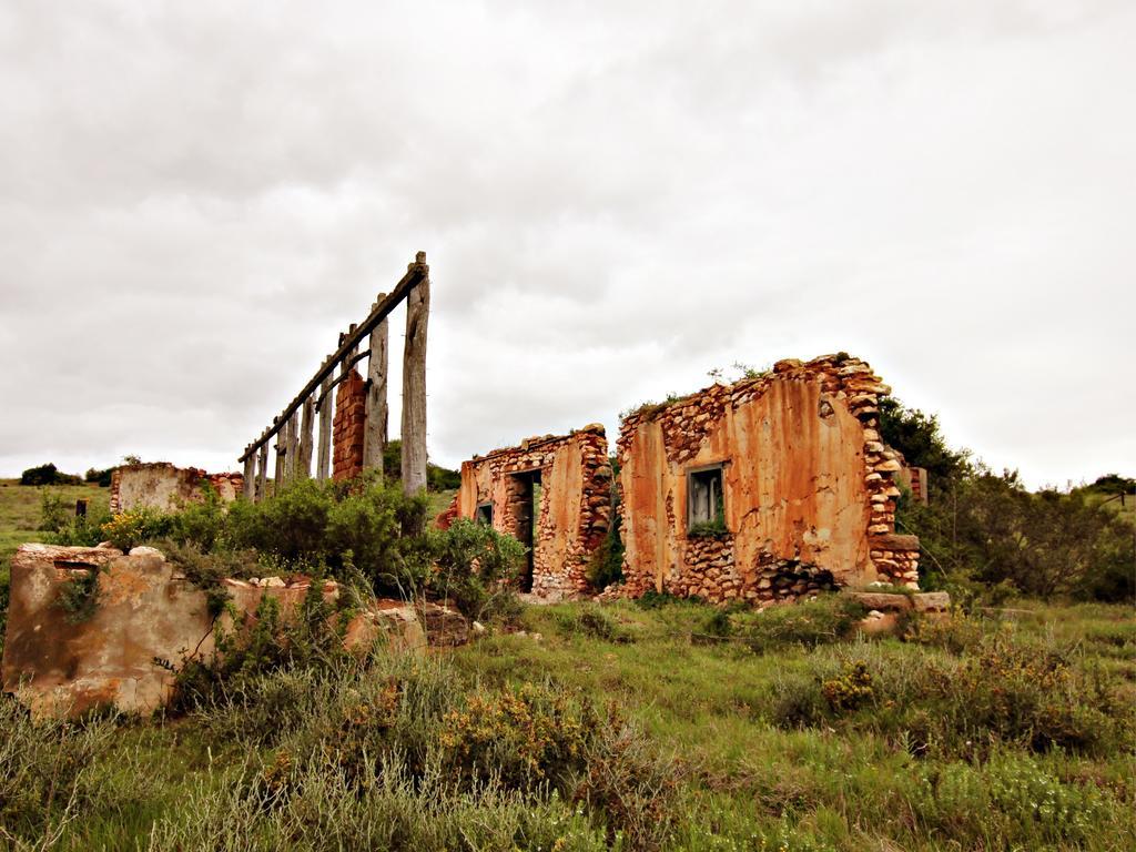 Hlosi Game Lodge - Amakhala Game Reserve Buyskloof Exteriér fotografie