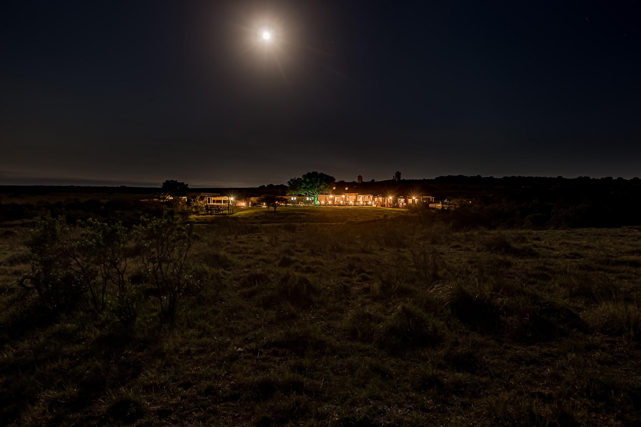 Hlosi Game Lodge - Amakhala Game Reserve Buyskloof Exteriér fotografie