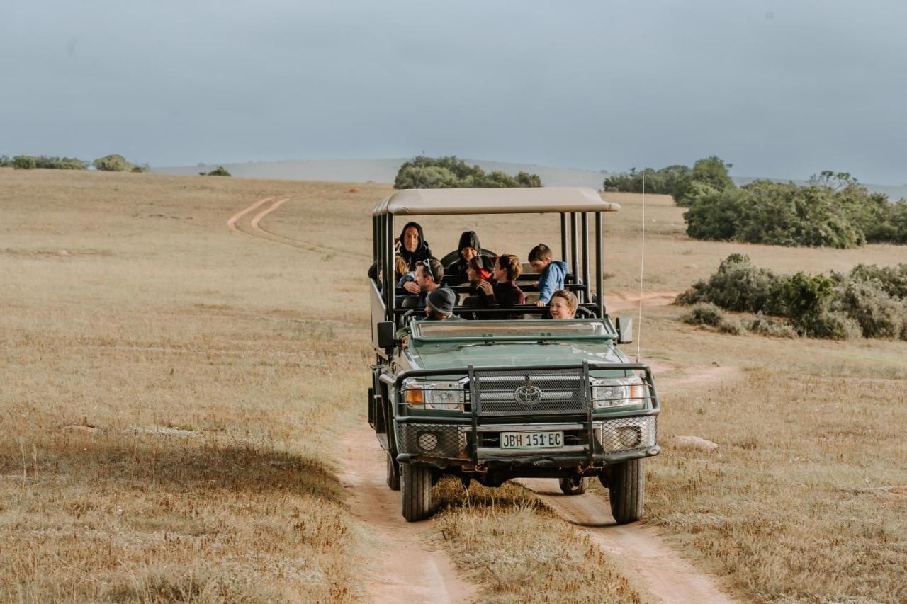 Hlosi Game Lodge - Amakhala Game Reserve Buyskloof Exteriér fotografie