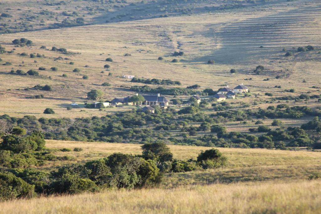 Hlosi Game Lodge - Amakhala Game Reserve Buyskloof Exteriér fotografie