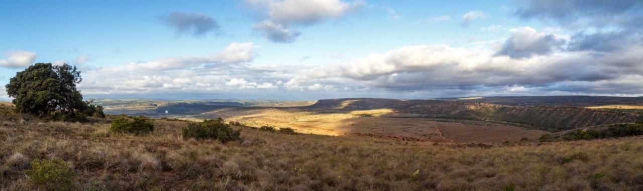 Hlosi Game Lodge - Amakhala Game Reserve Buyskloof Exteriér fotografie